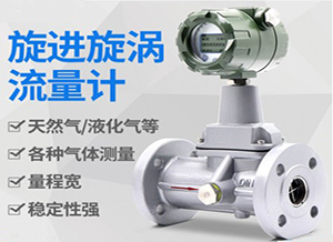 燃氣旋進旋渦流量計