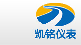 金湖91视频色版高清儀表有限公司LOGO